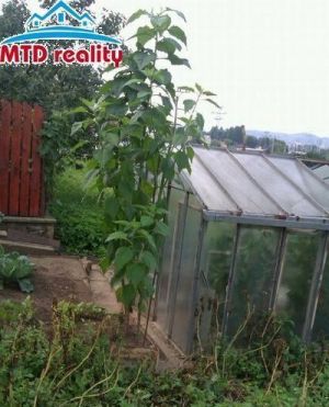 Ponúkame záhradu o výmere 449 m2 s podpivničeným záhradným domčekom