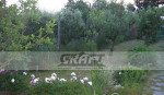 Rk-graft ponúka - chata v lokalite Devínske jazero – fotka 4